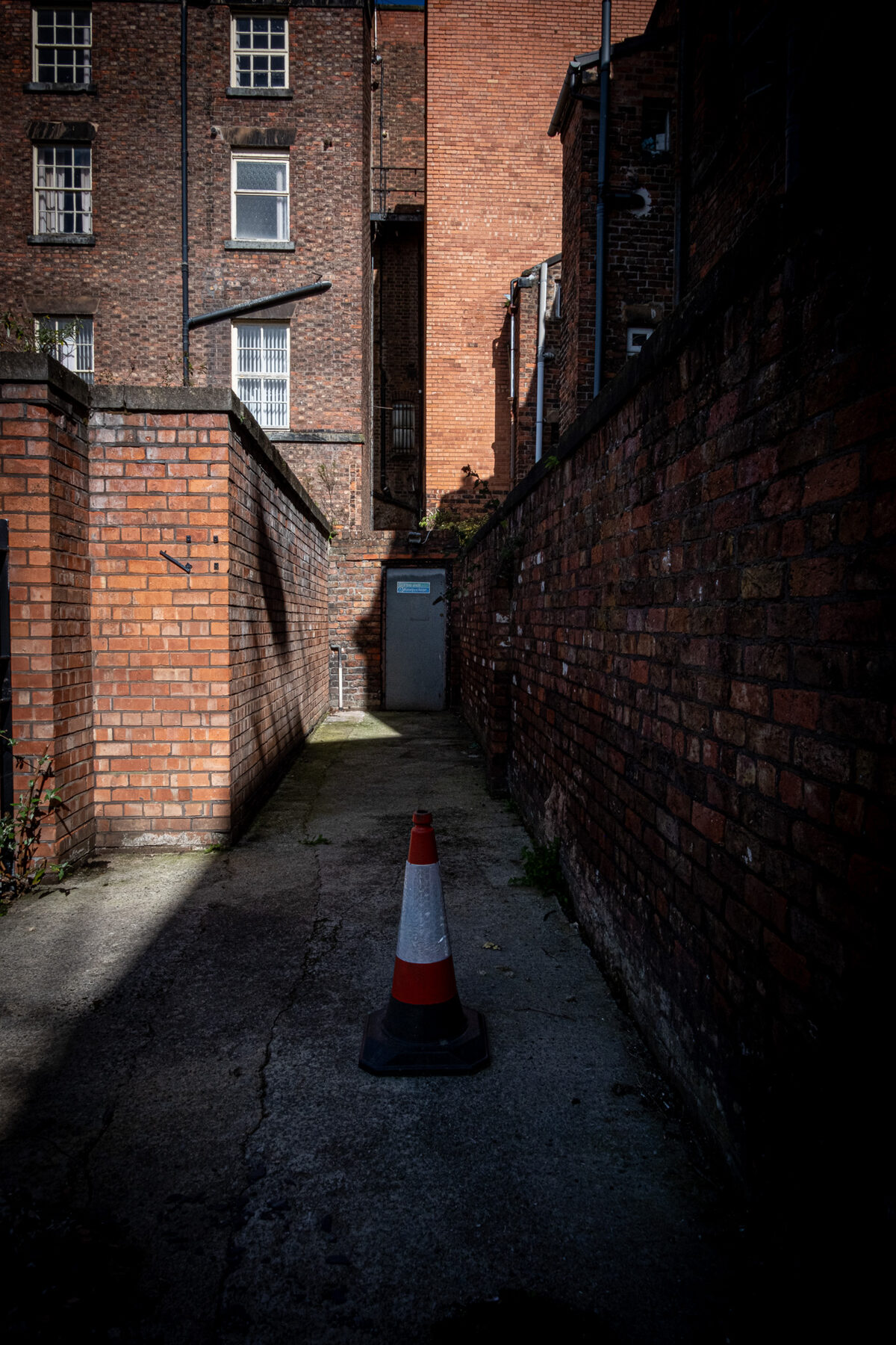the cone