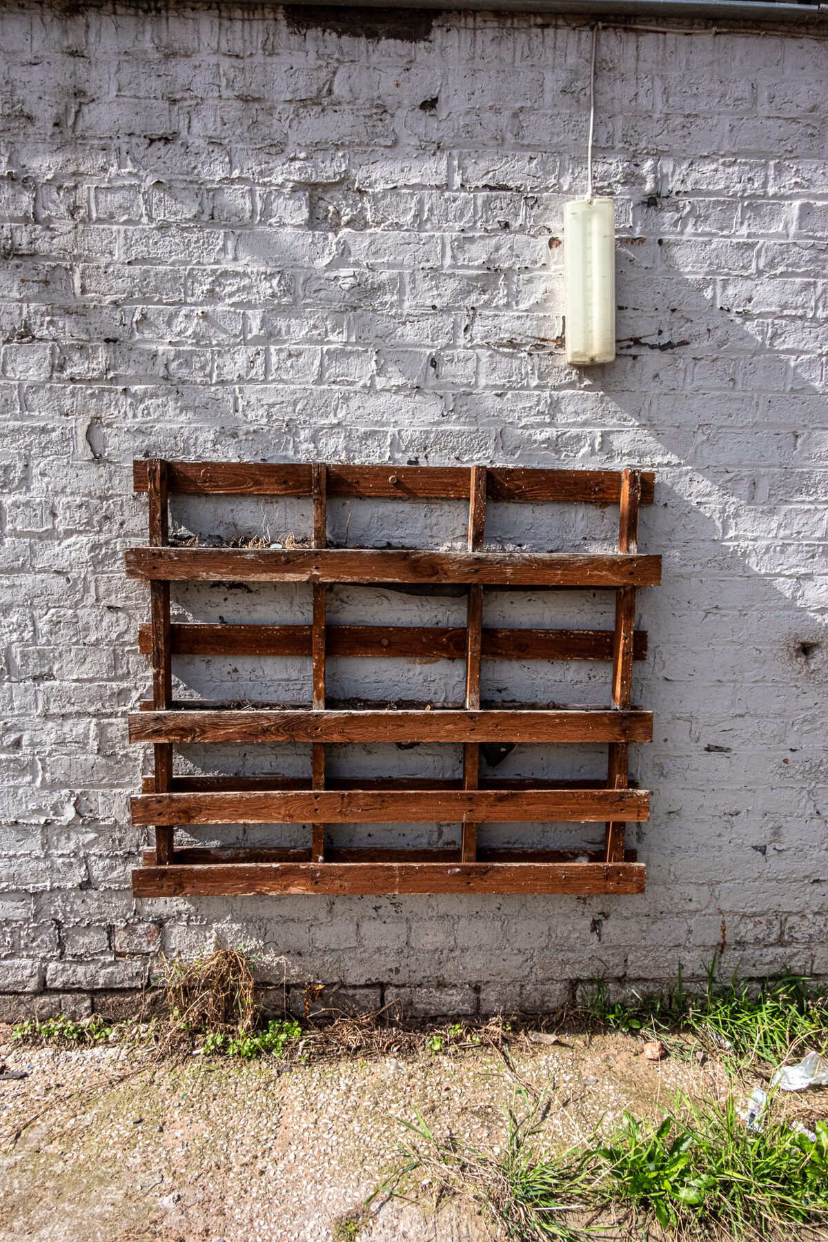 the pallet