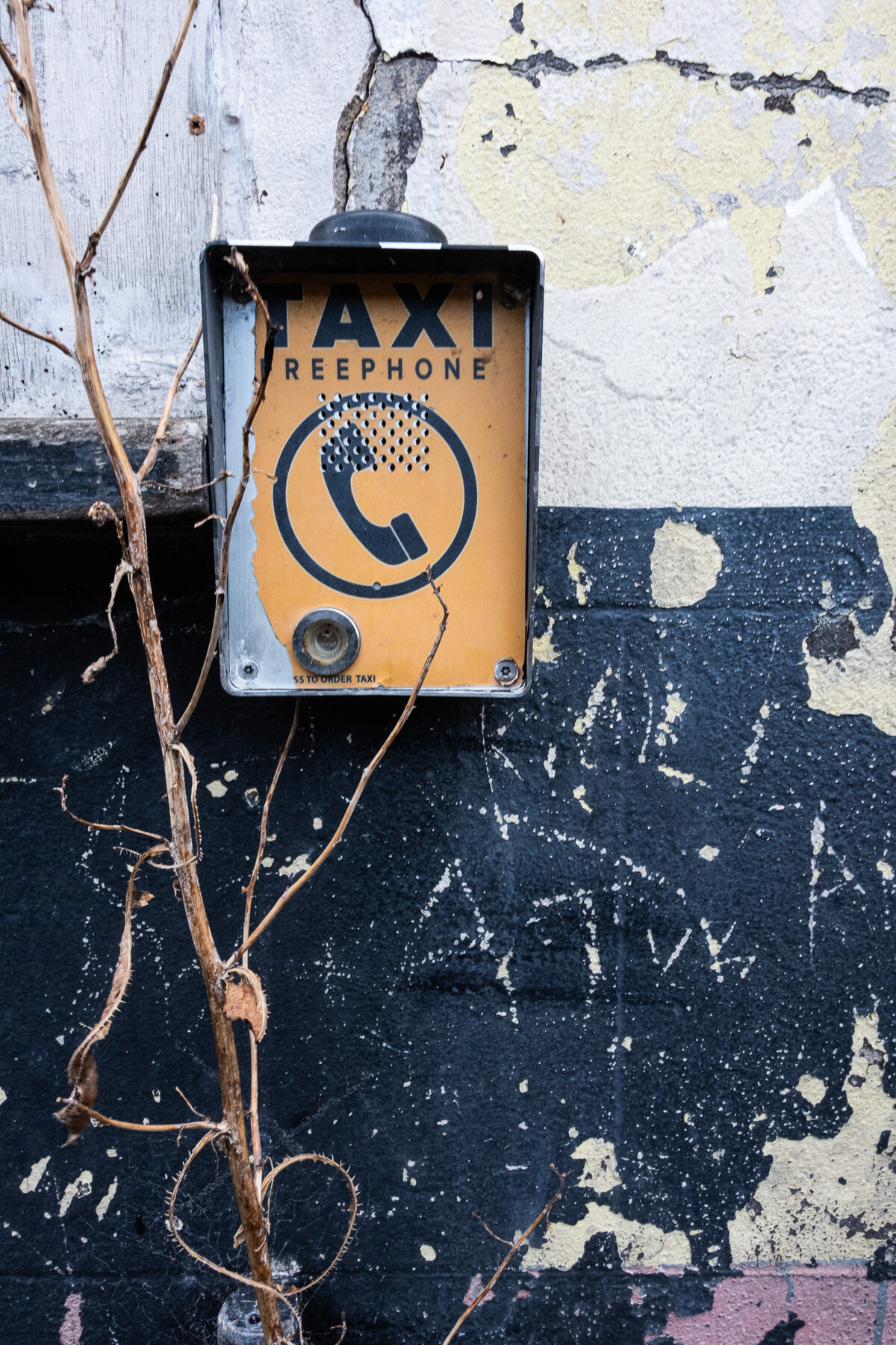 Yellow taxi freephone box on a peeling wall