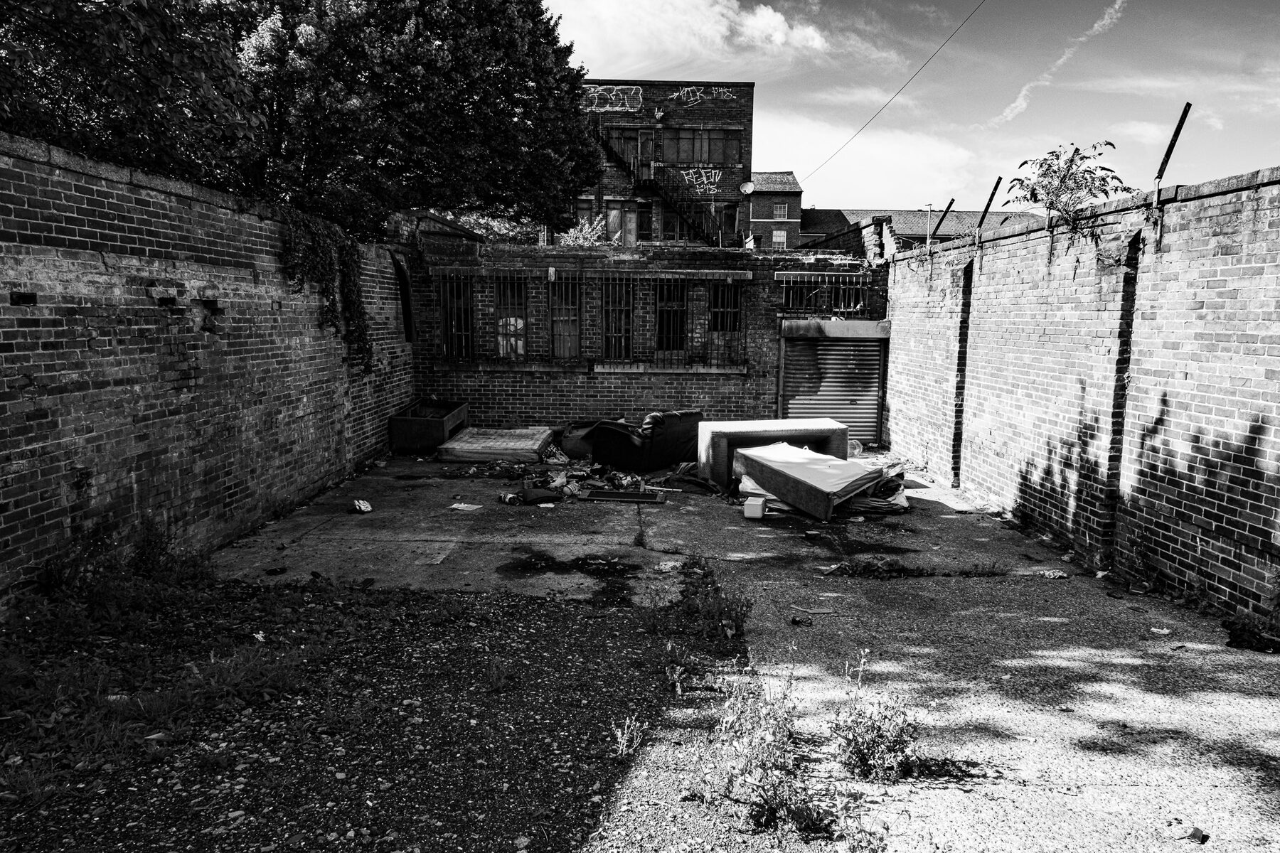 the yard