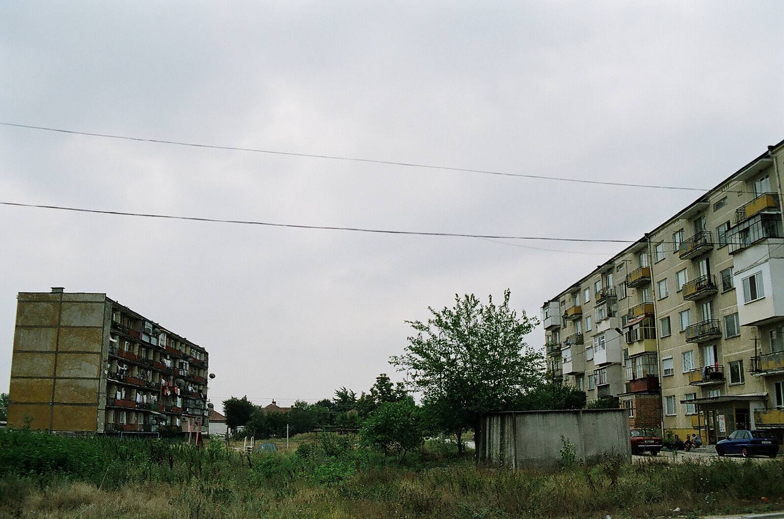 панелите и полето