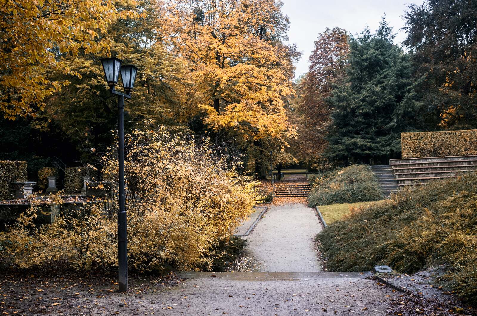 Park avenue in full autumn colour