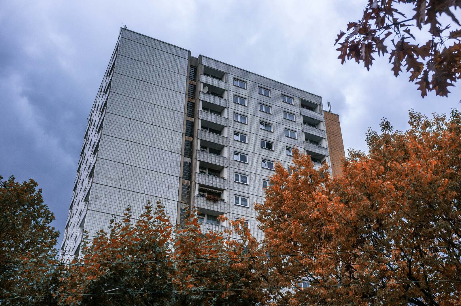 Prefab tower block behind golden autumn trees
