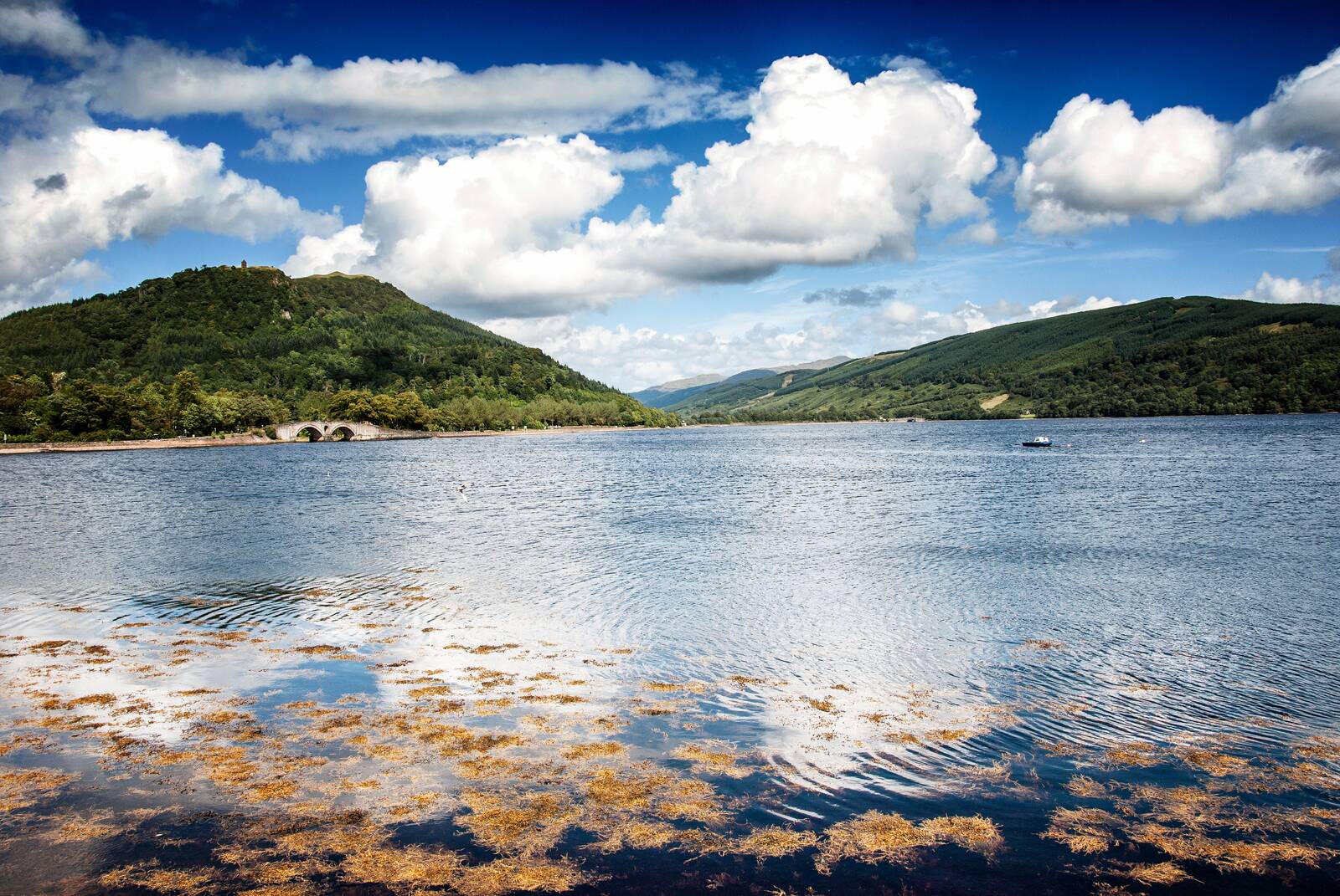 Loch Fyne