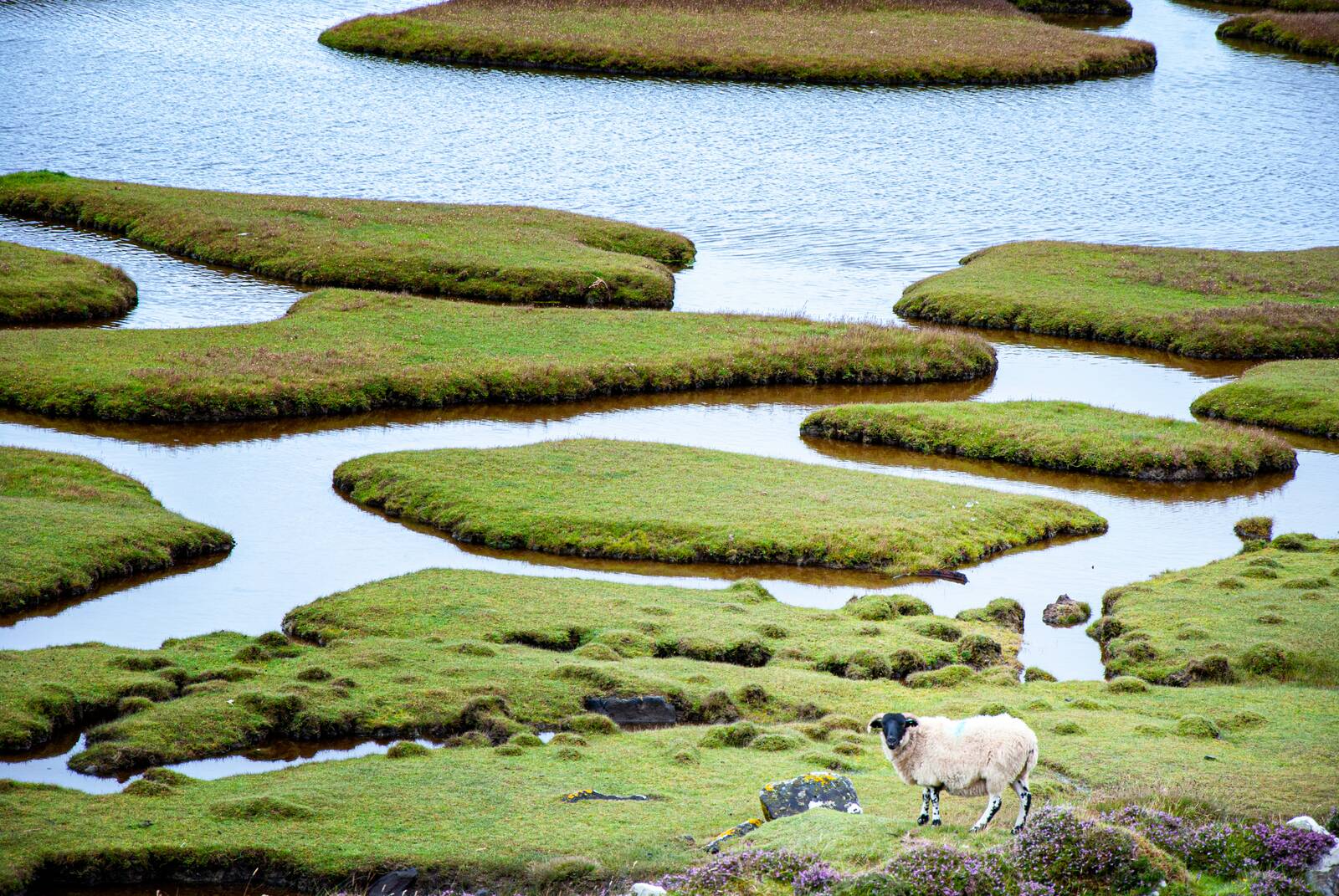 Tidal salt marsh maze