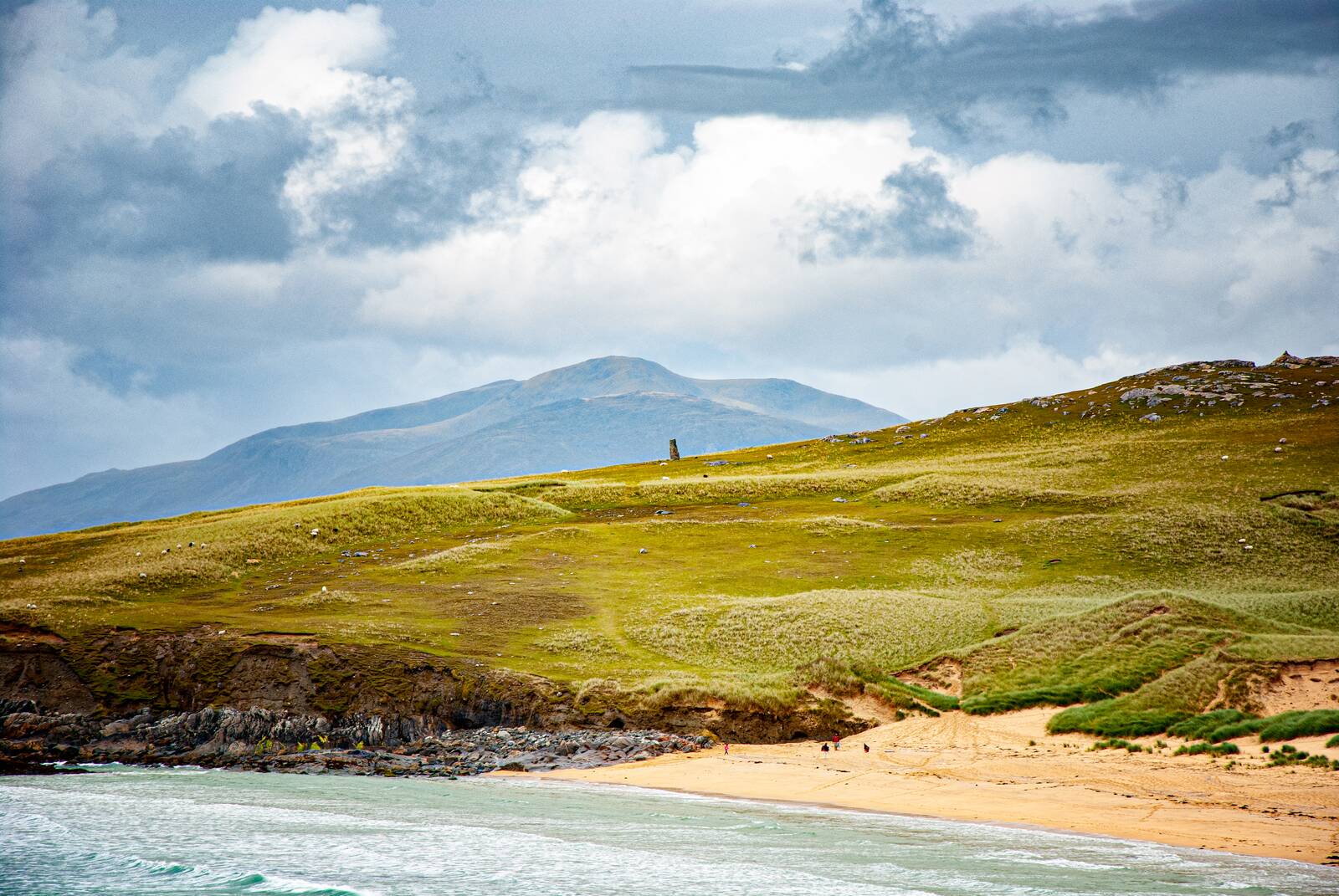 Dunes above the beach